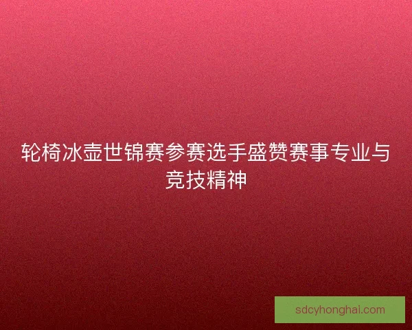 轮椅冰壶世锦赛参赛选手盛赞赛事专业与竞技精神