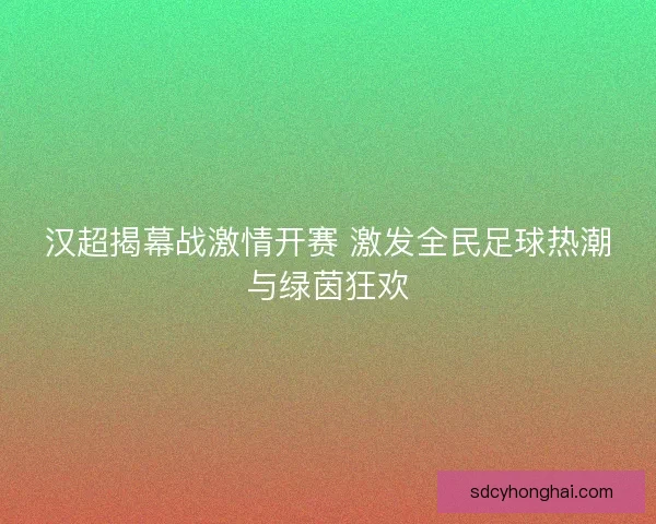 汉超揭幕战激情开赛 激发全民足球热潮与绿茵狂欢
