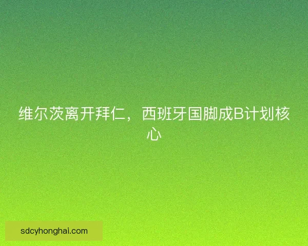 维尔茨离开拜仁，西班牙国脚成B计划核心
