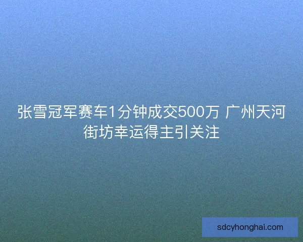 张雪冠军赛车1分钟成交500万 广州天河街坊幸运得主引关注
